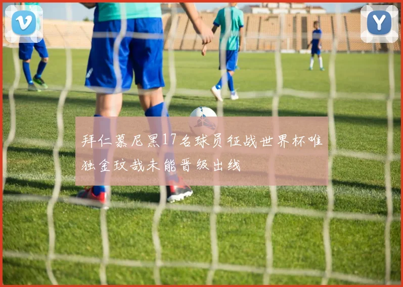 拜仁慕尼黑17名球员征战世界杯唯独金玟哉未能晋级出线