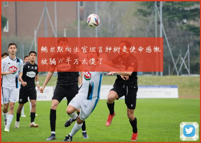 鲍尔默向法官坦言种树是使命感慨被骗六千万太傻了